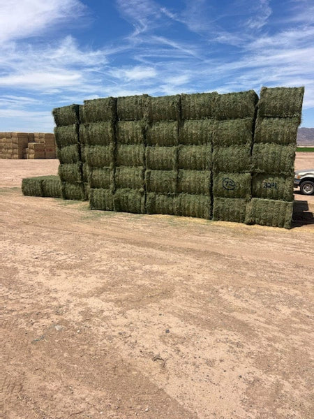 Martinez Farms Big Bale Alfalfa 32-4  Fair/Good Alfalfa Test Hay Big Bales CP 19 RFV 131 TDN 54 FACS 90/110