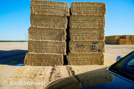 Martinez Farms Big Bale Alfalfa 32-4  Fair/Good Alfalfa Test Hay Big Bales CP 19 RFV 131 TDN 54 FACS 90/110