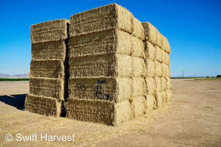 Martinez Farms Big Bale Alfalfa 32-4  Fair/Good Alfalfa Test Hay Big Bales CP 19 RFV 131 TDN 54 FACS 90/110