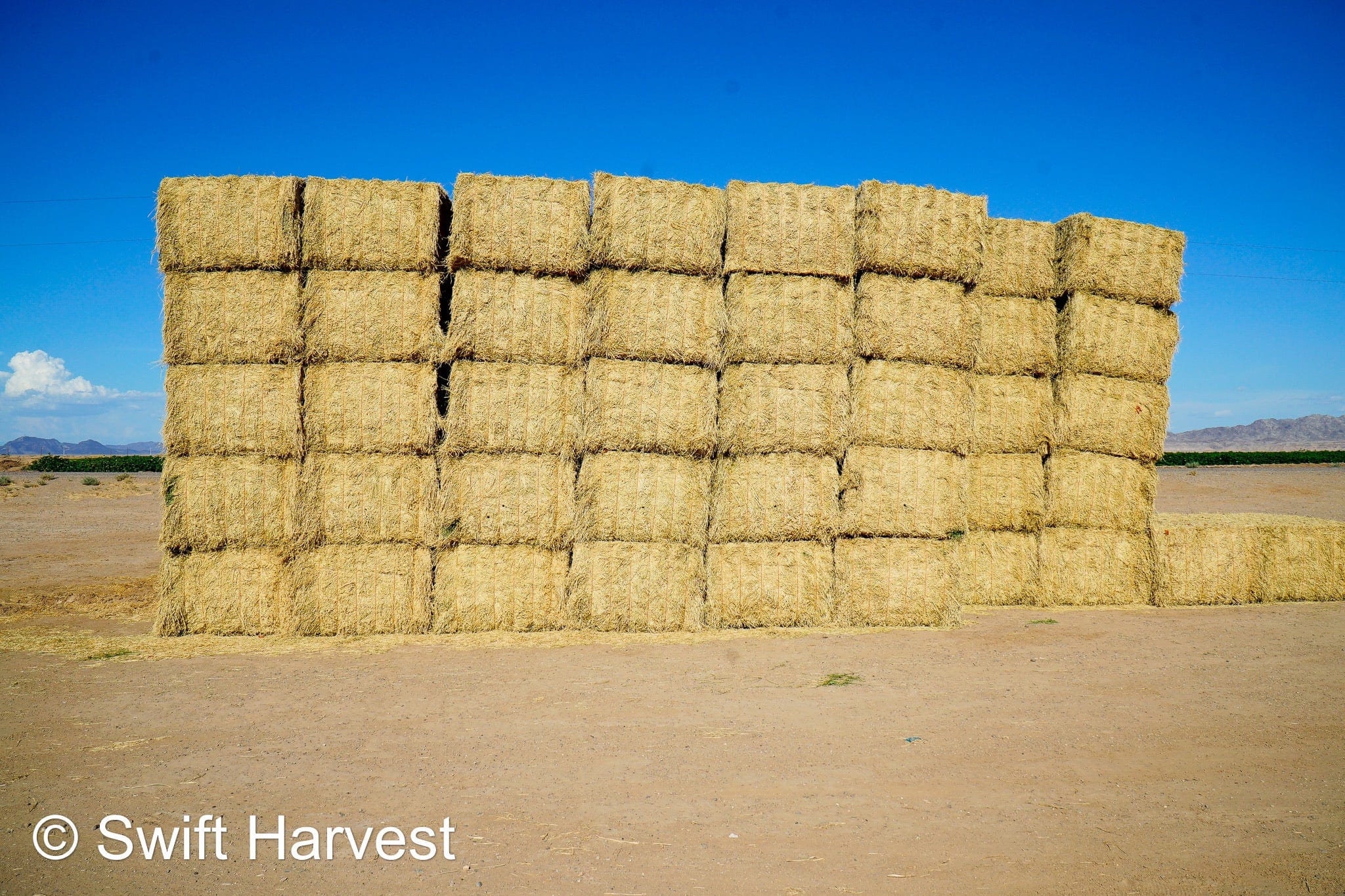 Martinez Farms Big Bale Alfalfa 32-4  Fair/Good Alfalfa Test Hay Big Bales CP 19 RFV 131 TDN 54 FACS 90/110