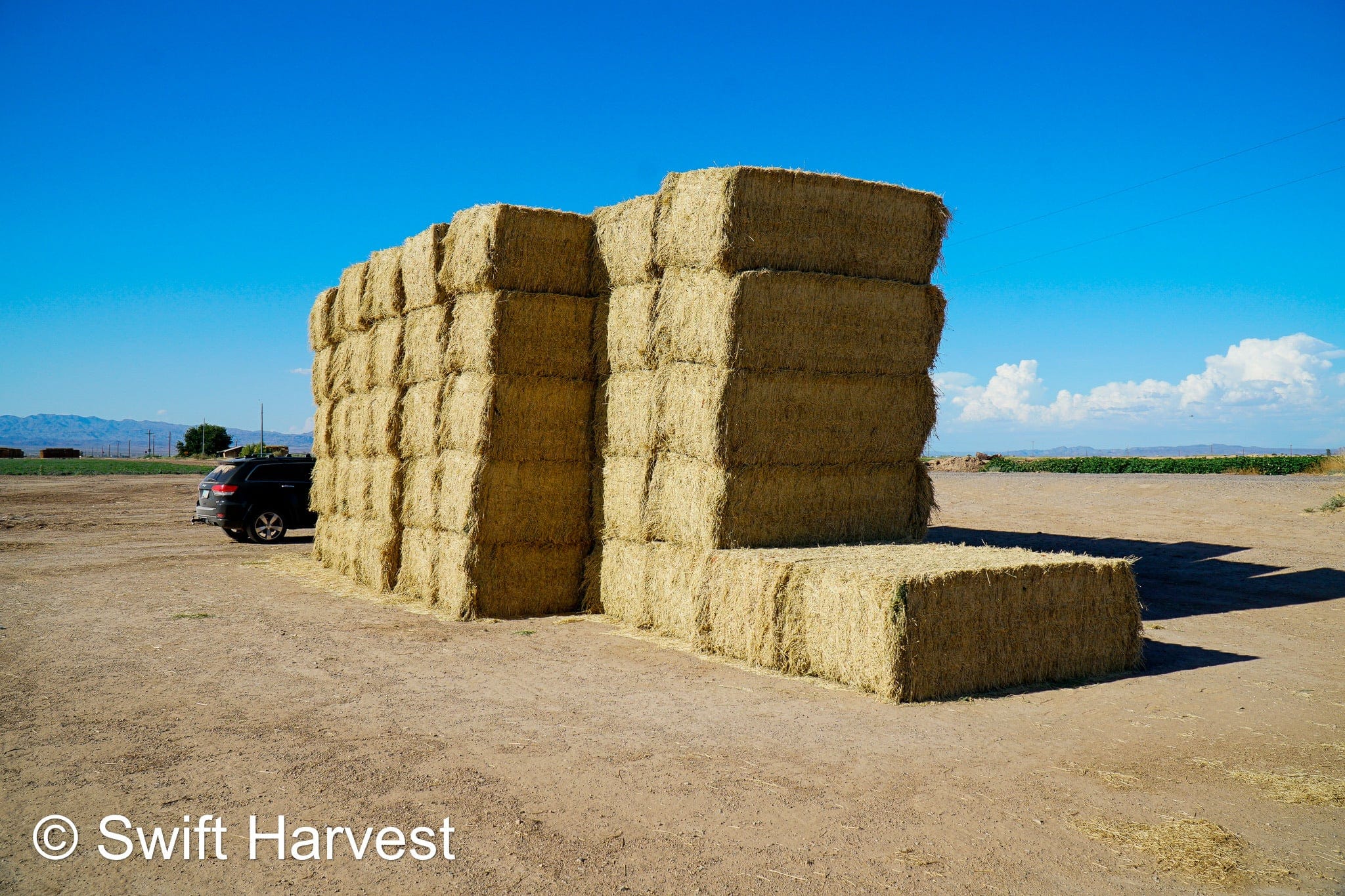 Martinez Farms Big Bale Alfalfa 32-4  Fair/Good Alfalfa Test Hay Big Bales CP 19 RFV 131 TDN 54 FACS 90/110