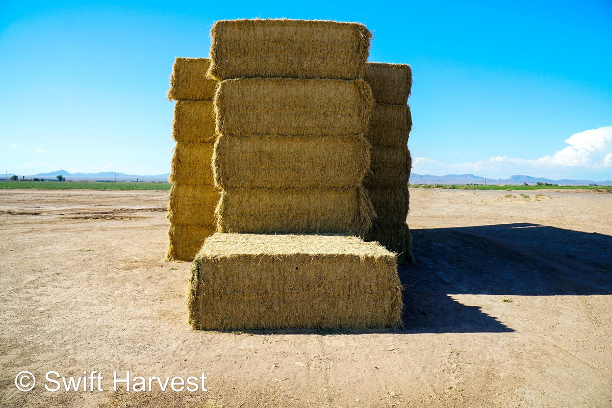 Martinez Farms Big Bale Alfalfa 32-4  Fair/Good Alfalfa Test Hay Big Bales CP 19 RFV 131 TDN 54 FACS 90/110