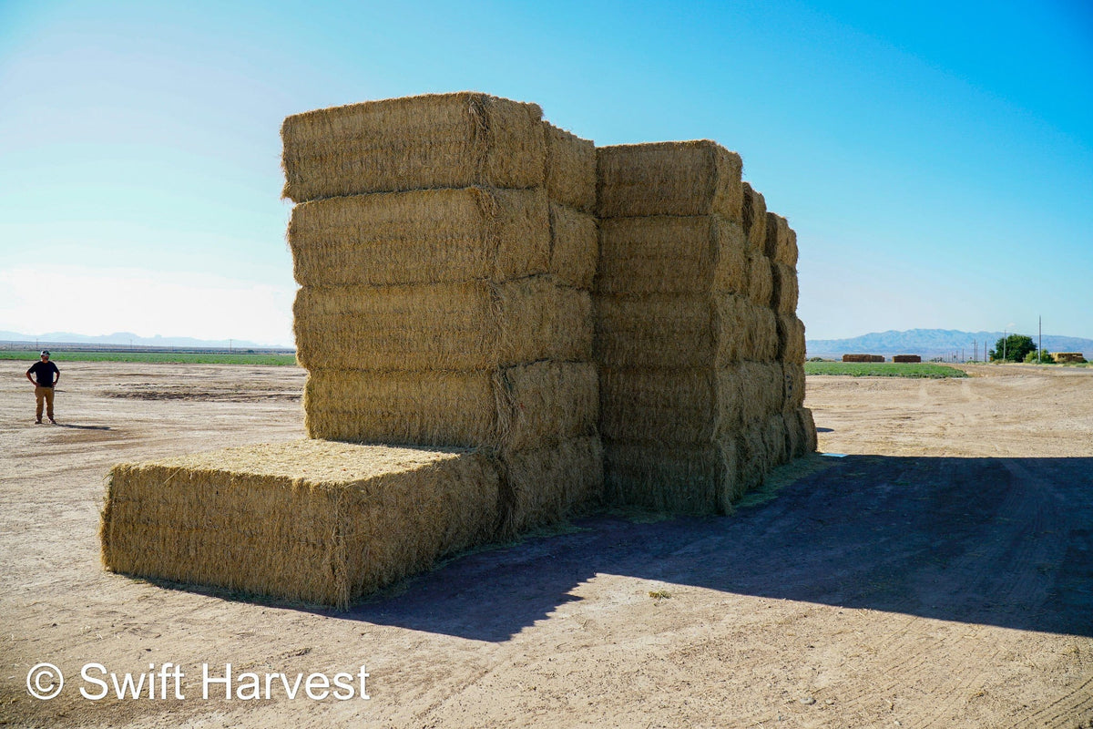 Martinez Farms Big Bale Alfalfa 32-4  Fair/Good Alfalfa Test Hay Big Bales CP 19 RFV 131 TDN 54 FACS 90/110