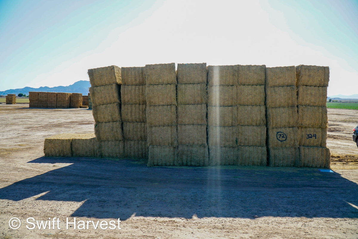 Martinez Farms Big Bale Alfalfa 32-4  Fair/Good Alfalfa Test Hay Big Bales CP 19 RFV 131 TDN 54 FACS 90/110