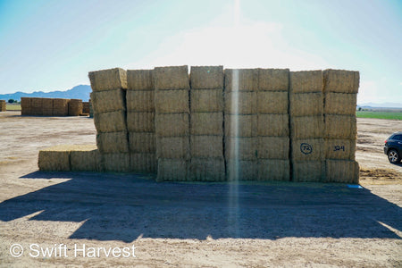 Martinez Farms Big Bale Alfalfa 32-4  Fair/Good Alfalfa Test Hay Big Bales CP 19 RFV 131 TDN 54 FACS 90/110