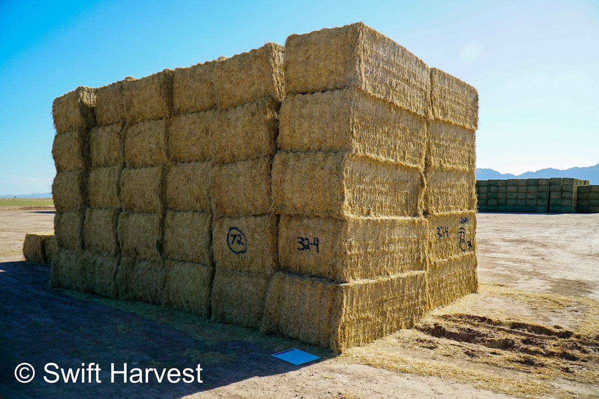 Martinez Farms Big Bale Alfalfa 32-4  Fair/Good Alfalfa Test Hay Big Bales CP 19 RFV 131 TDN 54 FACS 90/110