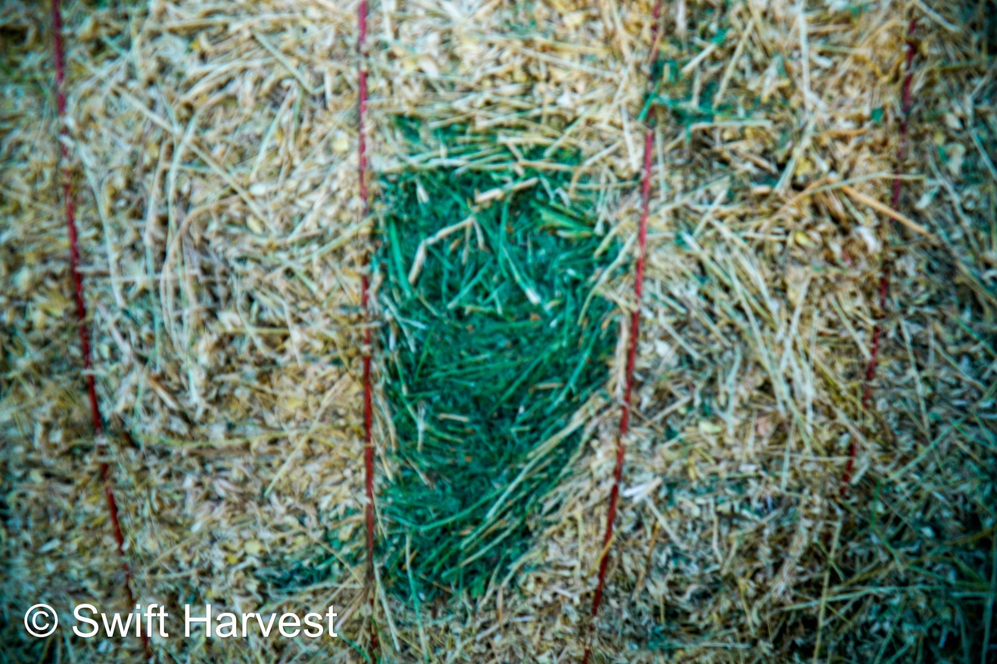 Martinez Farms Big Bale Alfalfa 32-4  Fair/Good Alfalfa Test Hay Big Bales CP 19 RFV 131 TDN 54 FACS 90/110