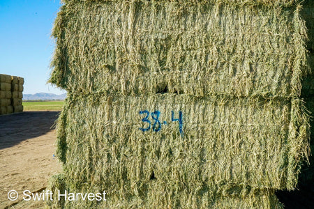 Martinez Farms Big Bale Alfalfa 38-4 Auction Good Alfalfa Test Hay Big Bales CP 18  RFV 152 TDN 58 FACS 93/110