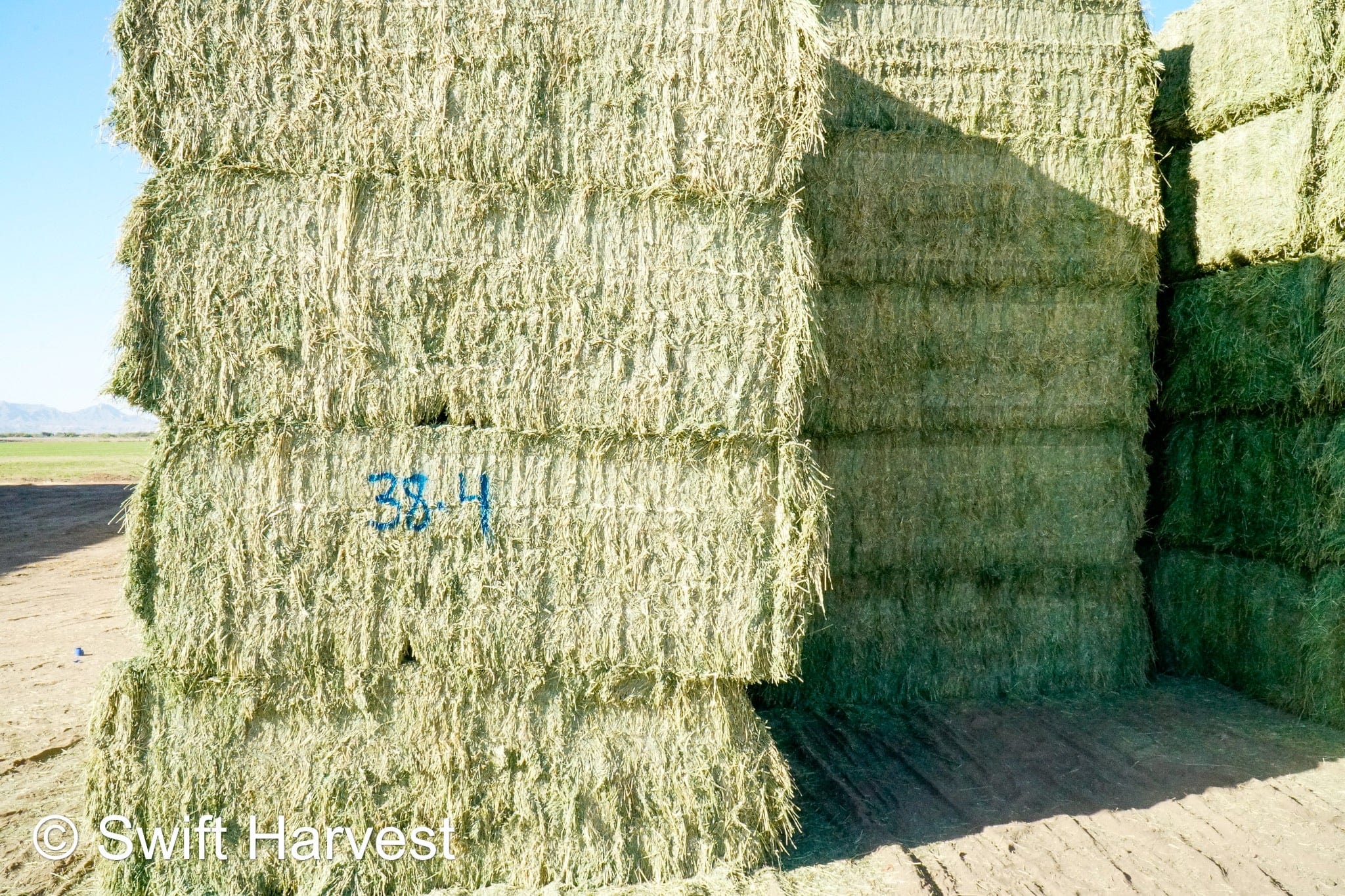 Martinez Farms Big Bale Alfalfa 38-4 Auction Good Alfalfa Test Hay Big Bales CP 18  RFV 152 TDN 58 FACS 93/110