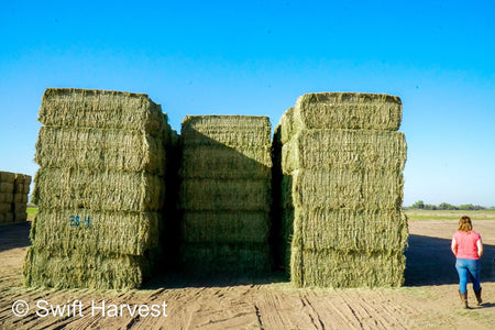 Martinez Farms Big Bale Alfalfa 38-4 Auction Good Alfalfa Test Hay Big Bales CP 18  RFV 152 TDN 58 FACS 93/110