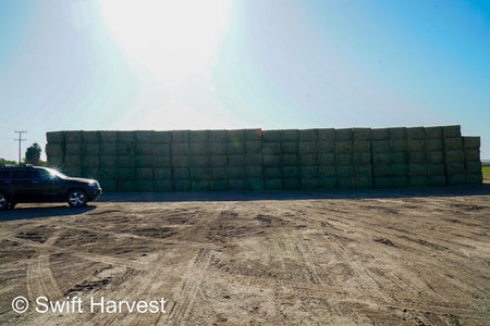 Martinez Farms Big Bale Alfalfa 38-4 Auction Good Alfalfa Test Hay Big Bales CP 18  RFV 152 TDN 58 FACS 93/110