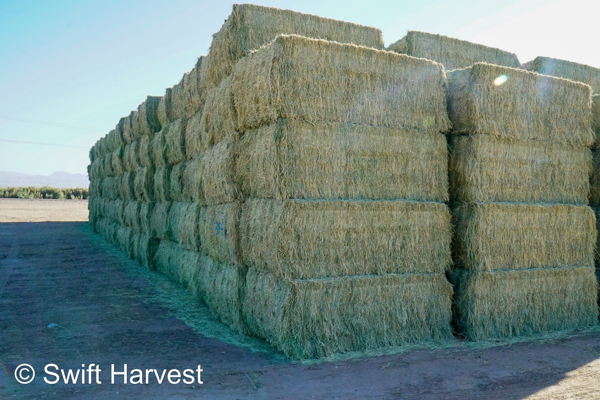 Martinez Farms Big Bale Alfalfa 38-4 Auction Good Alfalfa Test Hay Big Bales CP 18  RFV 152 TDN 58 FACS 93/110