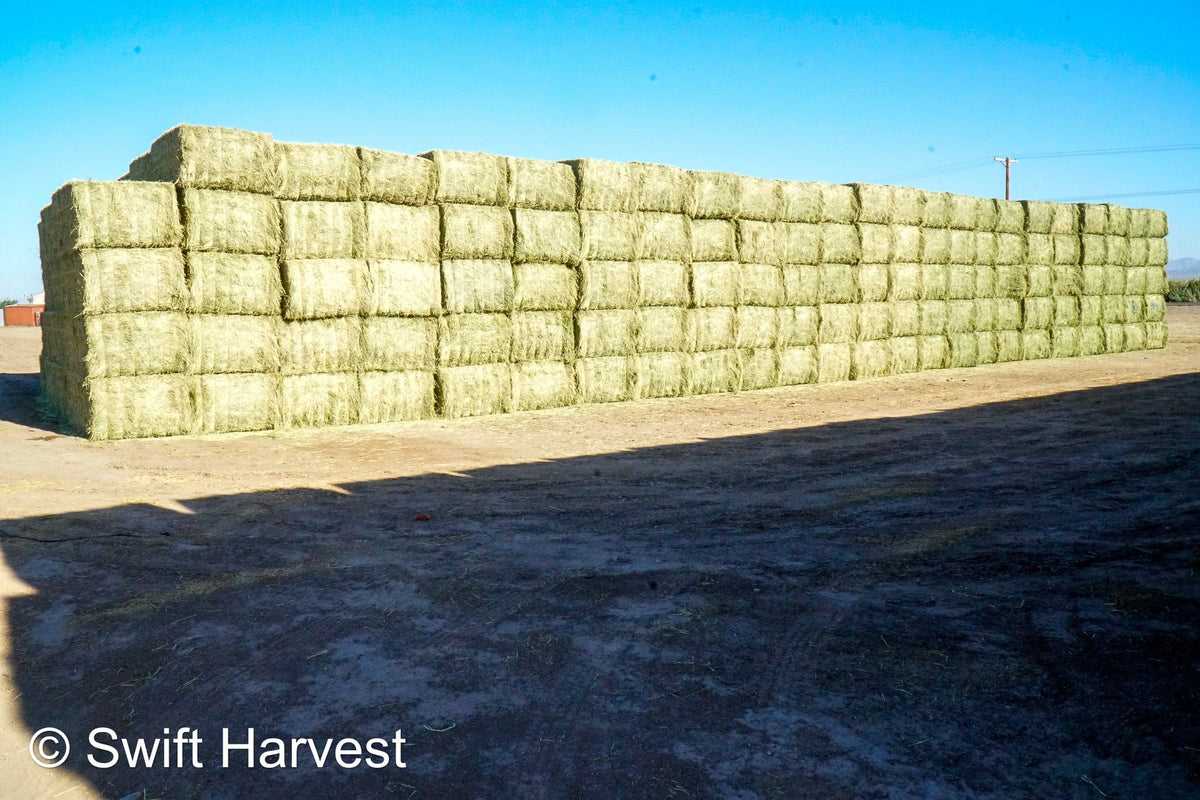 Martinez Farms Big Bale Alfalfa 38-4 Auction Good Alfalfa Test Hay Big Bales CP 18  RFV 152 TDN 58 FACS 93/110