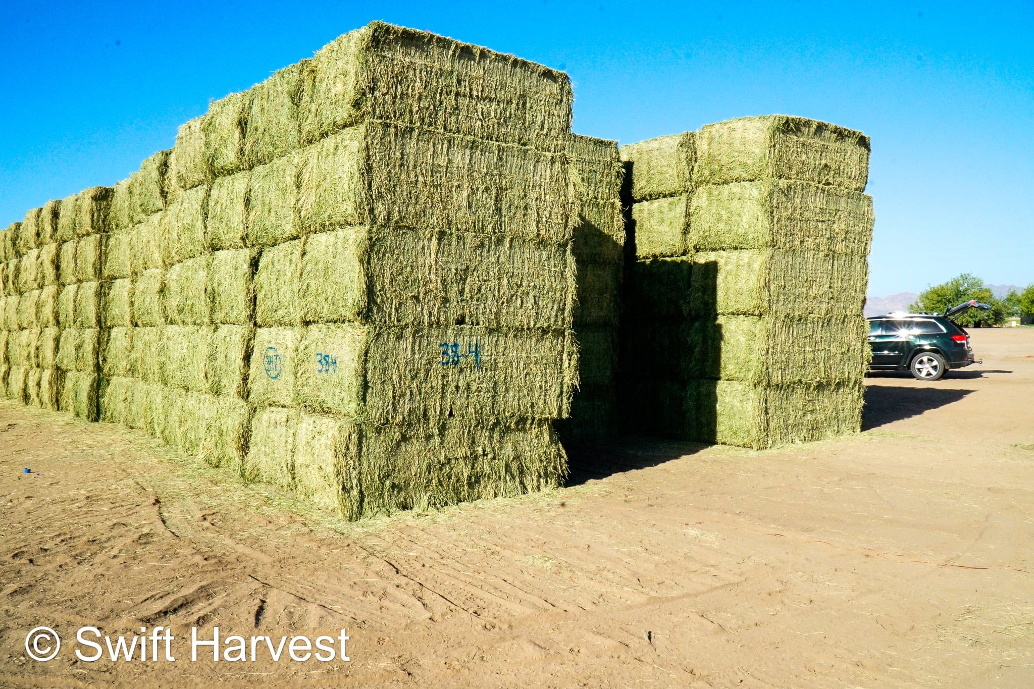 Martinez Farms Big Bale Alfalfa 38-4 Auction Good Alfalfa Test Hay Big Bales CP 18  RFV 152 TDN 58 FACS 93/110