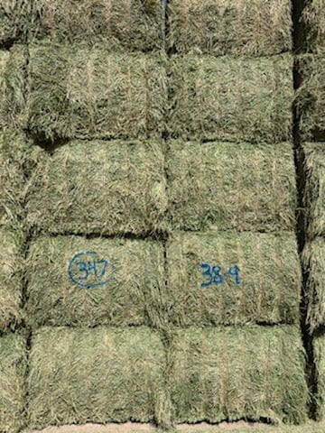 Martinez Farms Big Bale Alfalfa 38-4  Supreme Alfalfa Test Hay Big Bales