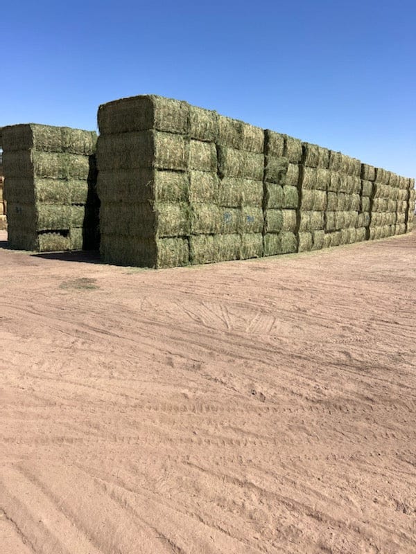 Martinez Farms Big Bale Alfalfa 38-4  Supreme Alfalfa Test Hay Big Bales