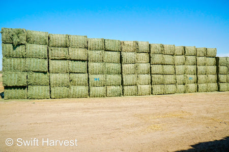 Martinez Farms Big Bale Alfalfa 38-5 Good/Premium AZ Big Bales Alfalfa CP 20 RFV 165 TDN 59 FACS 92/110