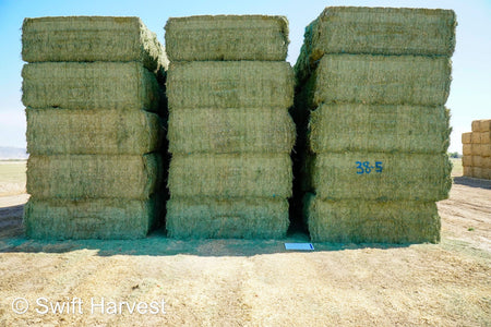 Martinez Farms Big Bale Alfalfa 38-5 Good/Premium AZ Big Bales Alfalfa CP 20 RFV 165 TDN 59 FACS 92/110