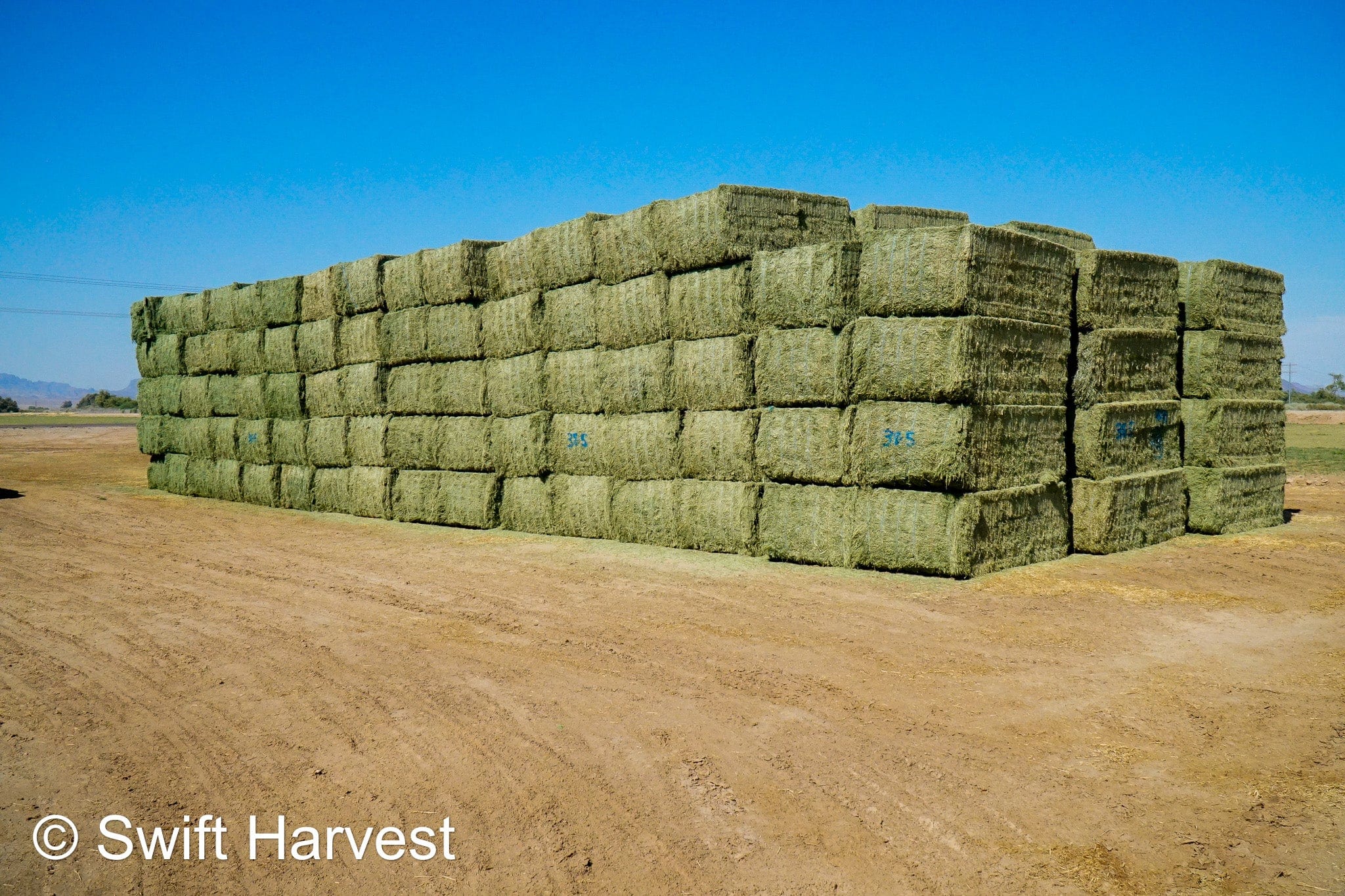 Martinez Farms Big Bale Alfalfa 38-5 Good/Premium AZ Big Bales Alfalfa CP 20 RFV 165 TDN 59 FACS 92/110