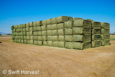 Martinez Farms Big Bale Alfalfa 38-5 Good/Premium AZ Big Bales Alfalfa CP 20 RFV 165 TDN 59 FACS 92/110