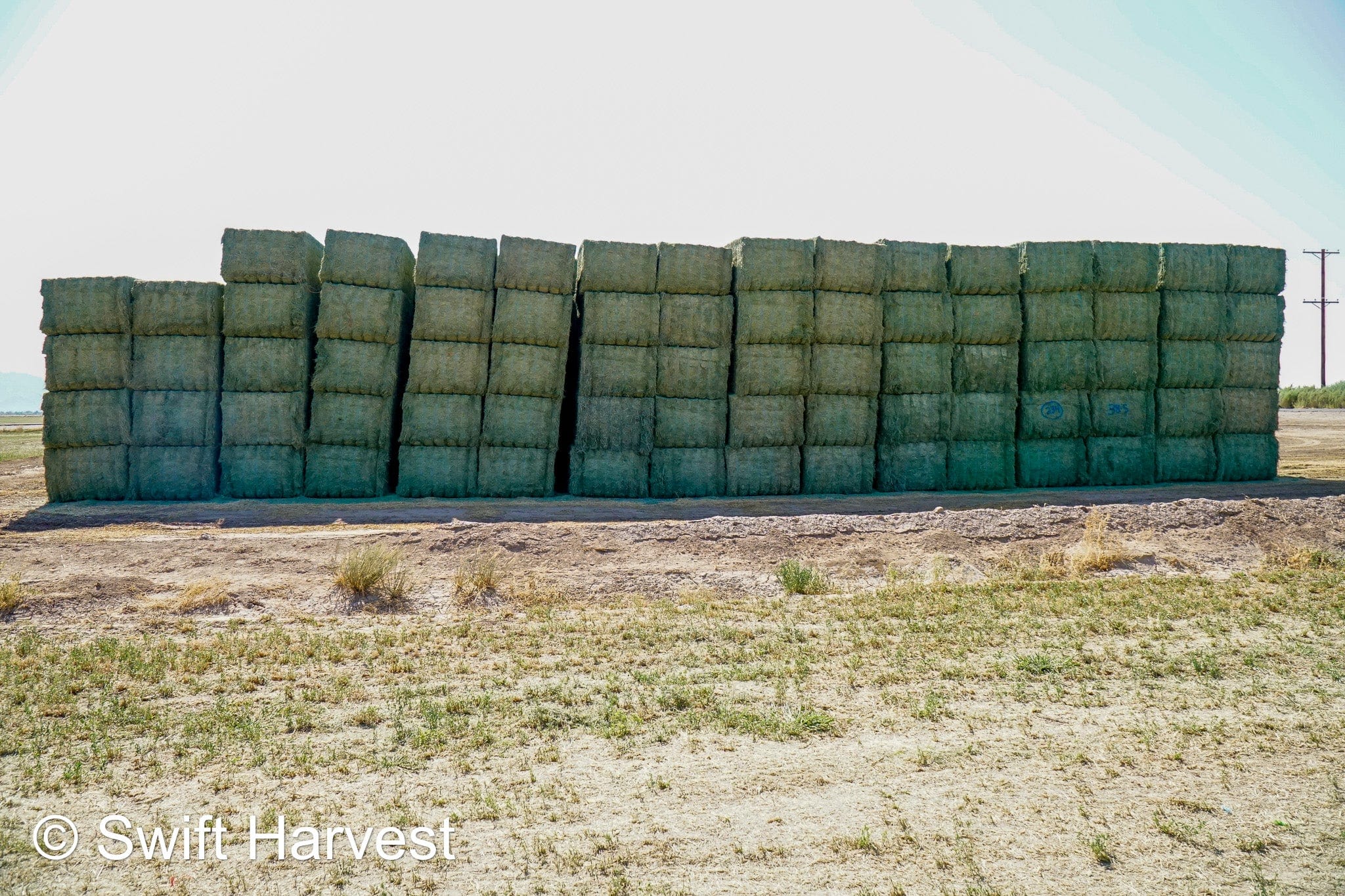 Martinez Farms Big Bale Alfalfa 38-5 Good/Premium AZ Big Bales Alfalfa CP 20 RFV 165 TDN 59 FACS 92/110