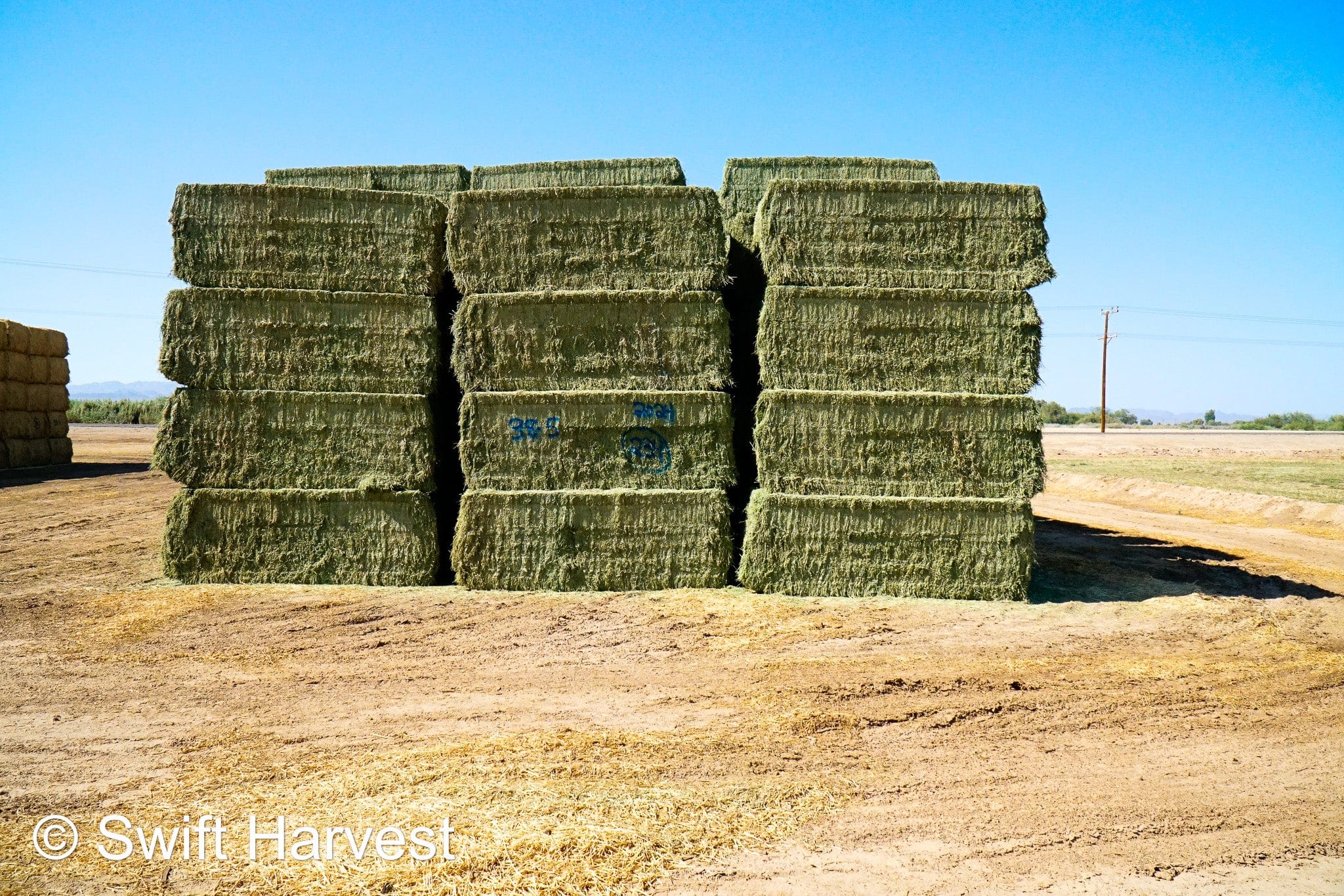 Martinez Farms Big Bale Alfalfa 38-5 Good/Premium AZ Big Bales Alfalfa CP 20 RFV 165 TDN 59 FACS 92/110