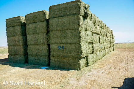 Martinez Farms Big Bale Alfalfa 38-5 Good/Premium AZ Big Bales Alfalfa CP 20 RFV 165 TDN 59 FACS 92/110