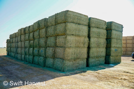 Martinez Farms Big Bale Alfalfa 38-5 Good/Premium AZ Big Bales Alfalfa CP 20 RFV 165 TDN 59 FACS 92/110