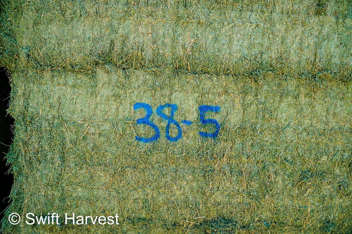 Martinez Farms Big Bale Alfalfa 38-5 Good/Premium AZ Big Bales Alfalfa CP 20 RFV 165 TDN 59 FACS 92/110