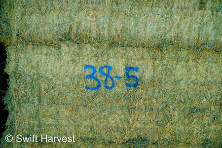 Martinez Farms Big Bale Alfalfa 38-5 Good/Premium AZ Big Bales Alfalfa CP 20 RFV 165 TDN 59 FACS 92/110