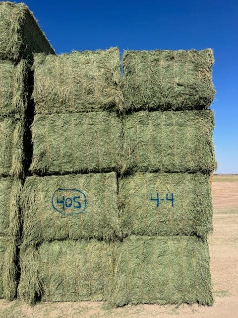 Martinez Farms Big Bale Alfalfa 4-4 Auction Alfalfa Test Hay Big Bales Fair / Utility RFV 111  CP 17 TDN 50 FACS 90/110