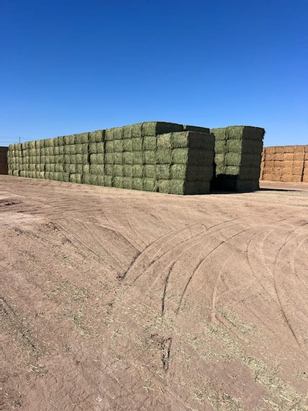 Martinez Farms Big Bale Alfalfa 4-4 Auction Alfalfa Test Hay Big Bales Fair / Utility RFV 111  CP 17 TDN 50 FACS 90/110