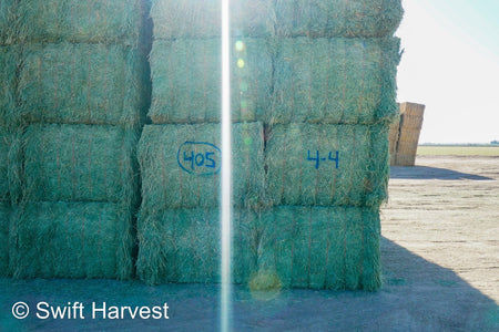 Martinez Farms Big Bale Alfalfa 4-4 Auction Alfalfa Test Hay Big Bales Fair / Utility RFV 111  CP 17 TDN 50 FACS 90/110