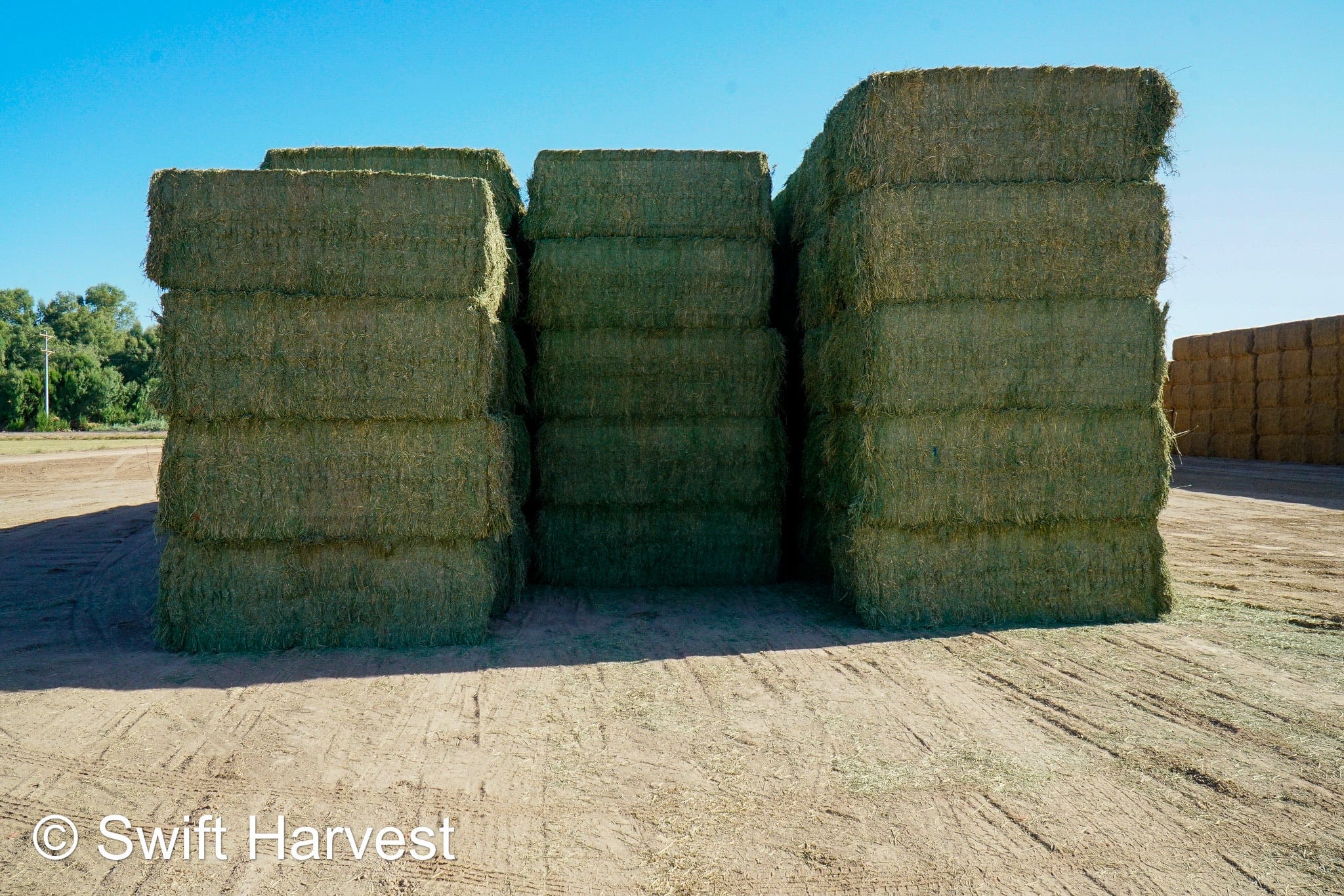 Martinez Farms Big Bale Alfalfa 4-4 Auction Alfalfa Test Hay Big Bales Fair / Utility RFV 111  CP 17 TDN 50 FACS 90/110