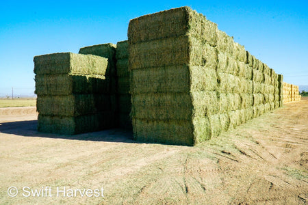 Martinez Farms Big Bale Alfalfa 4-4 Auction Alfalfa Test Hay Big Bales Fair / Utility RFV 111  CP 17 TDN 50 FACS 90/110