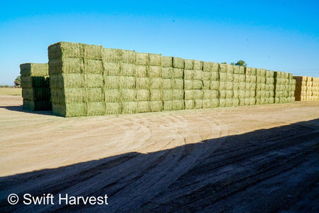 Martinez Farms Big Bale Alfalfa 4-4 Auction Alfalfa Test Hay Big Bales Fair / Utility RFV 111  CP 17 TDN 50 FACS 90/110