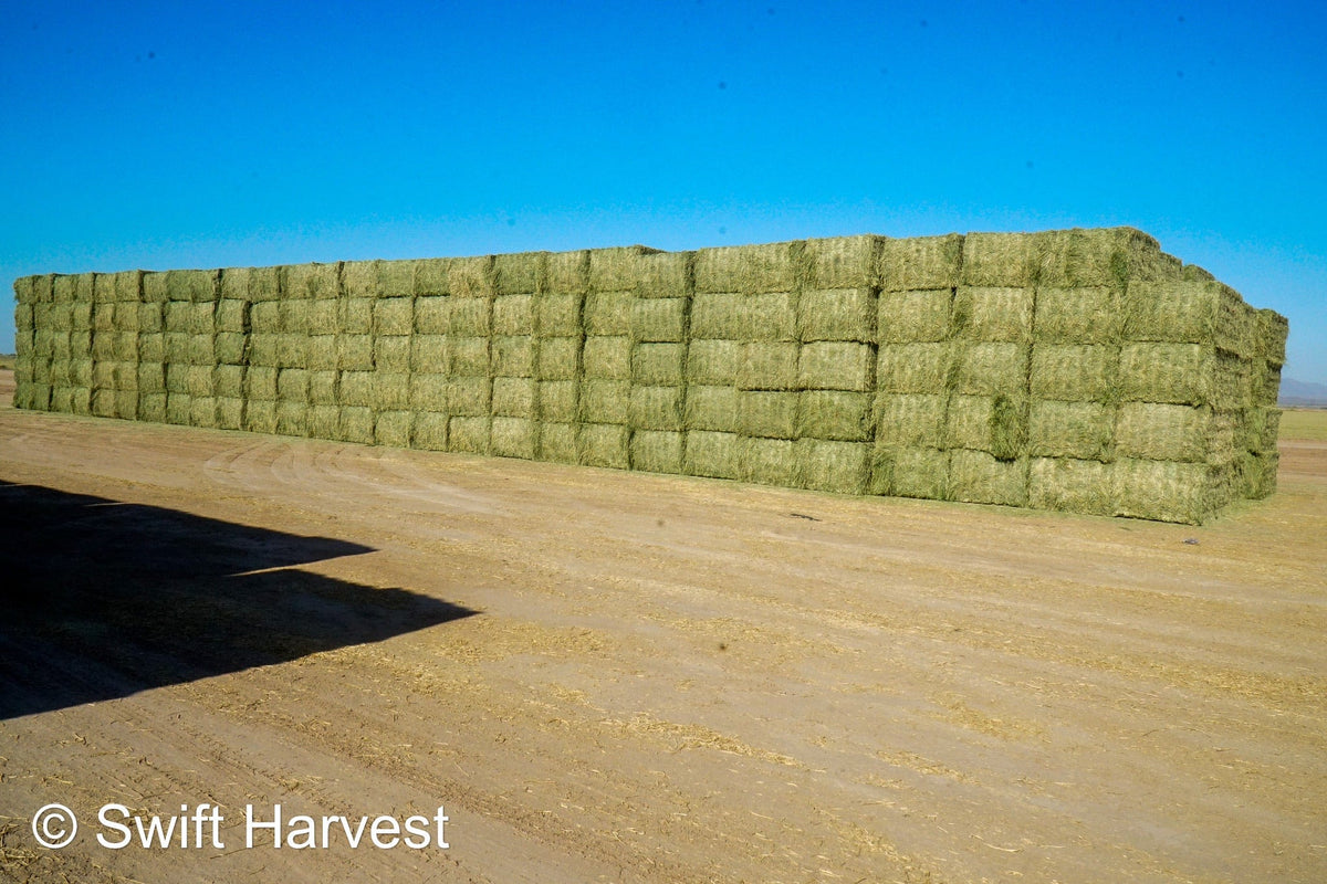 Martinez Farms Big Bale Alfalfa 4-4 Auction Alfalfa Test Hay Big Bales Fair / Utility RFV 111  CP 17 TDN 50 FACS 90/110