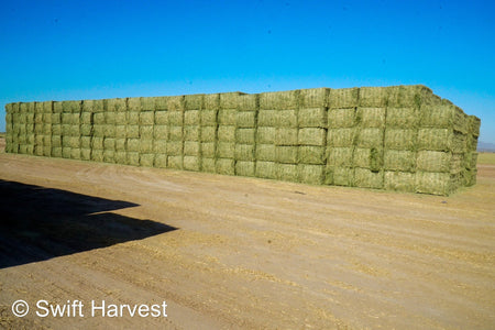 Martinez Farms Big Bale Alfalfa 4-4 Auction Alfalfa Test Hay Big Bales Fair / Utility RFV 111  CP 17 TDN 50 FACS 90/110