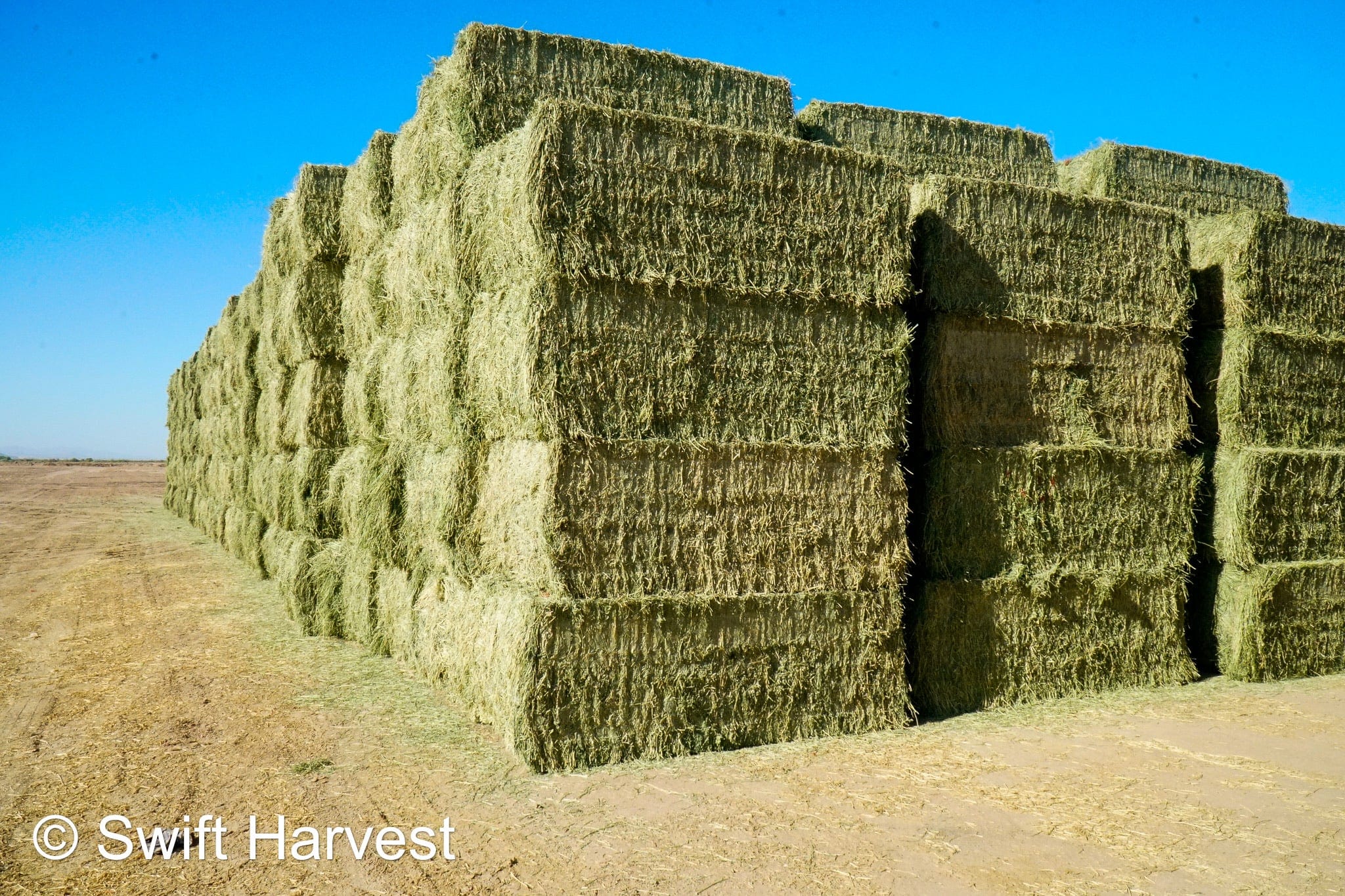 Martinez Farms Big Bale Alfalfa 4-4 Auction Alfalfa Test Hay Big Bales Fair / Utility RFV 111  CP 17 TDN 50 FACS 90/110