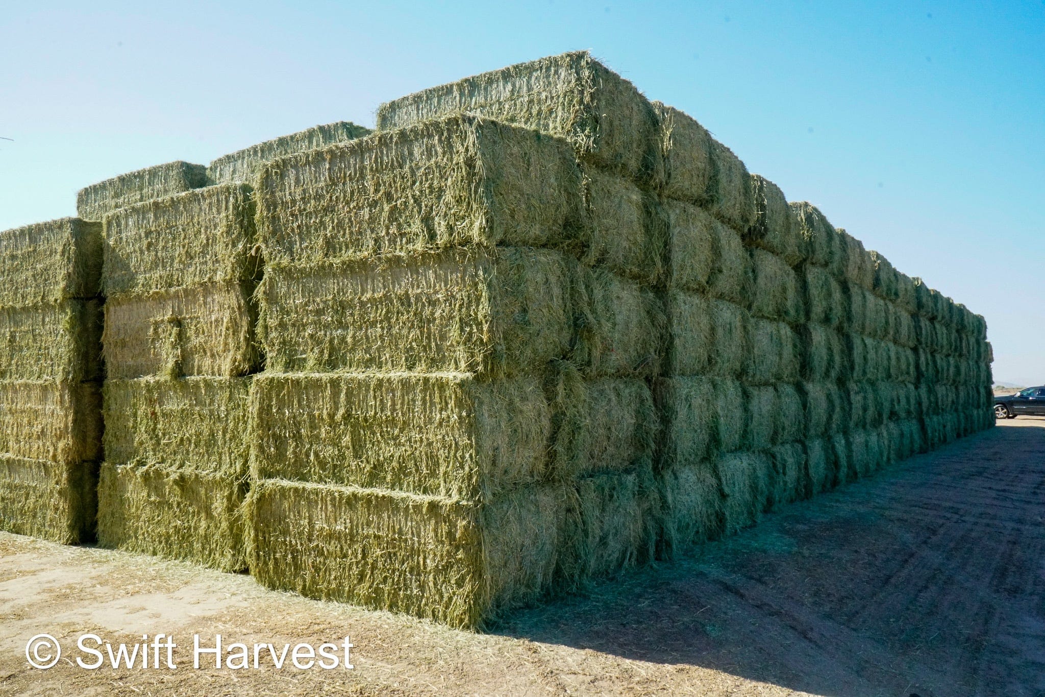 Martinez Farms Big Bale Alfalfa 4-4 Auction Alfalfa Test Hay Big Bales Fair / Utility RFV 111  CP 17 TDN 50 FACS 90/110