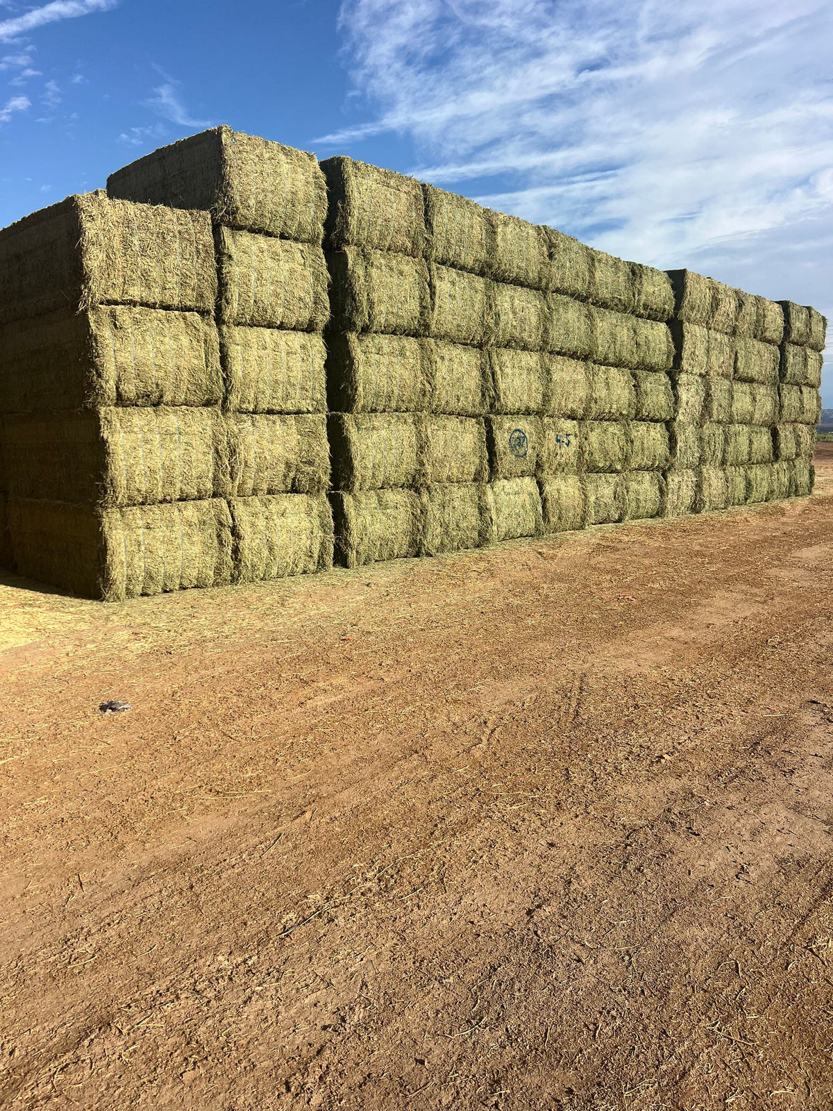 Martinez Farms Big Bale Alfalfa 4-5 Good AZ Alfalfa Big Bales CP 18 RFV 145 TDN 55 FACS 94/110