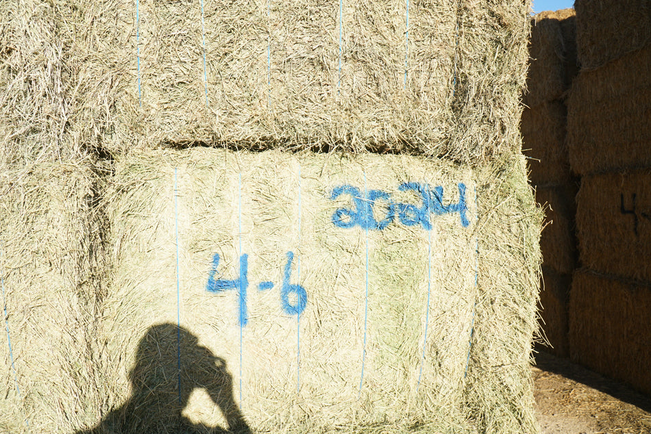 Martinez Farms Big Bale Alfalfa 4-6 Good AZ Alfalfa Big Bales CP 20 RFV 158 TDN 56 FACS 93/110