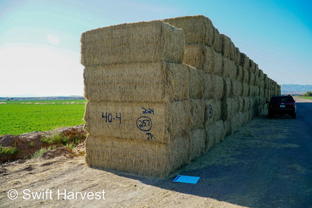 Martinez Farms Big Bale Alfalfa 40-4  Good/Premium Alfalfa Test Hay Big Bales CP 19 RFV 154 TDN 57 FACS 96/110