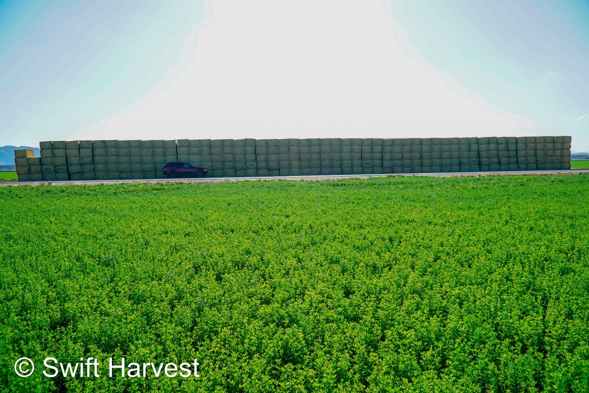 Martinez Farms Big Bale Alfalfa 40-4  Good/Premium Alfalfa Test Hay Big Bales CP 19 RFV 154 TDN 57 FACS 96/110