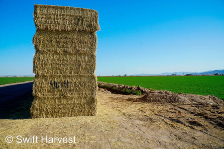 Martinez Farms Big Bale Alfalfa 40-4  Good/Premium Alfalfa Test Hay Big Bales CP 19 RFV 154 TDN 57 FACS 96/110