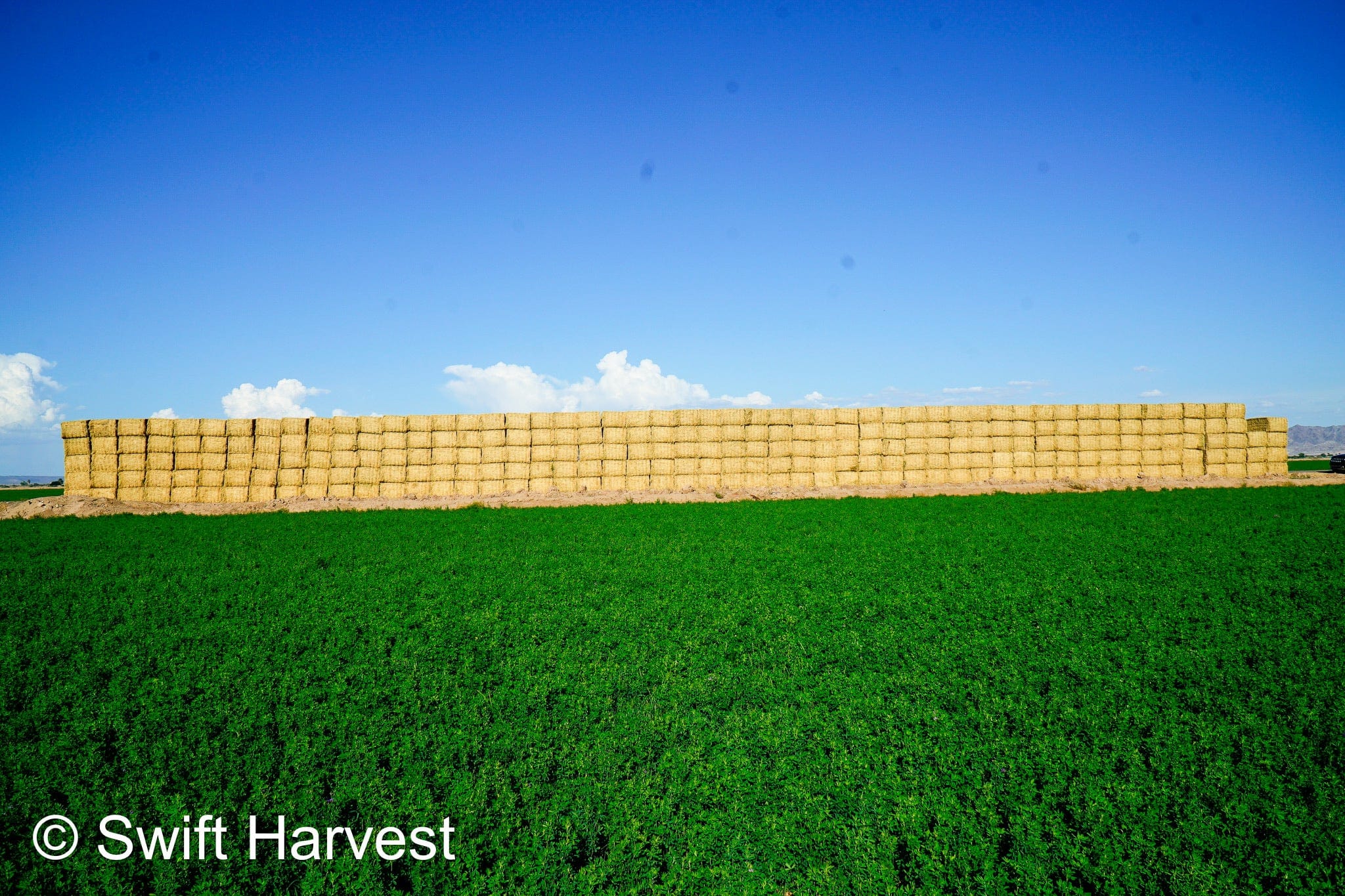 Martinez Farms Big Bale Alfalfa 40-4  Good/Premium Alfalfa Test Hay Big Bales CP 19 RFV 154 TDN 57 FACS 96/110