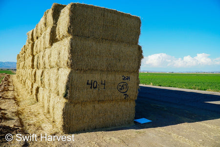 Martinez Farms Big Bale Alfalfa 40-4  Good/Premium Alfalfa Test Hay Big Bales CP 19 RFV 154 TDN 57 FACS 96/110