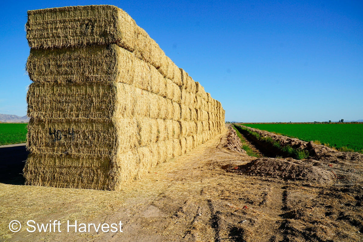 Martinez Farms Big Bale Alfalfa 40-4  Good/Premium Alfalfa Test Hay Big Bales CP 19 RFV 154 TDN 57 FACS 96/110