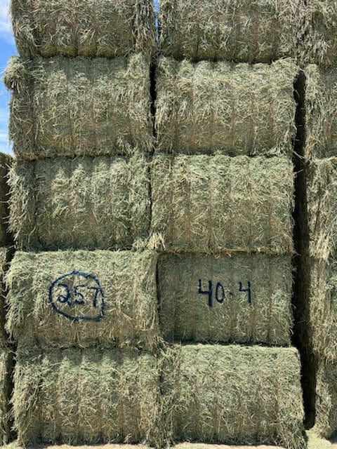 Martinez Farms Big Bale Alfalfa 40-4  Supreme Alfalfa Test Hay Big Bales