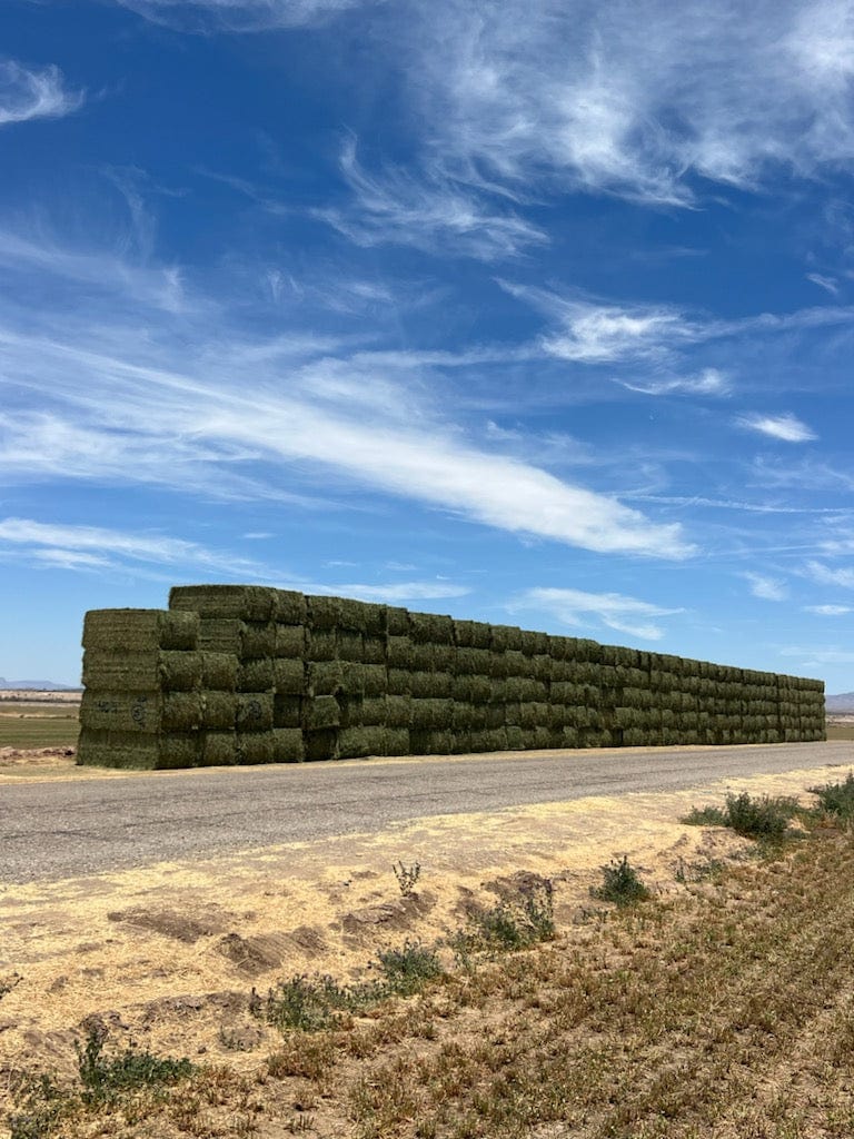 Martinez Farms Big Bale Alfalfa 40-4  Supreme Alfalfa Test Hay Big Bales